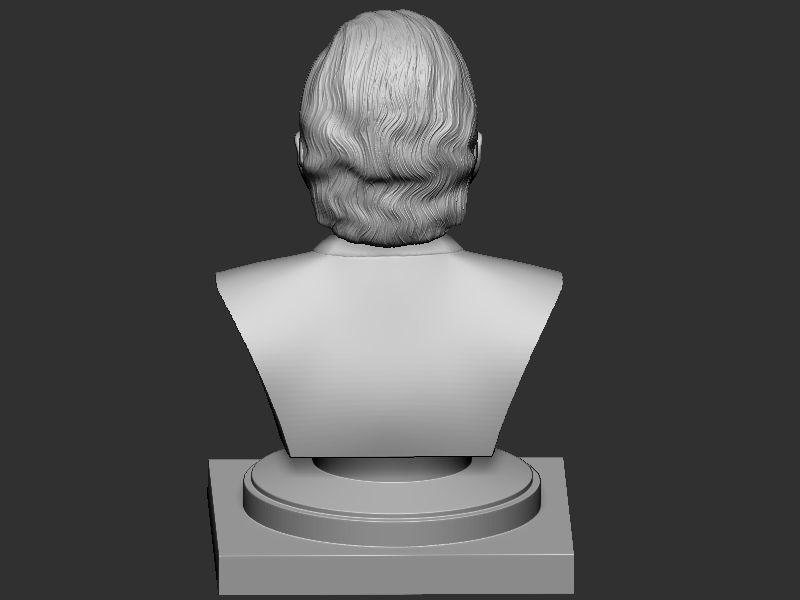 Narendra Modi Bust Gray 3D print model_17