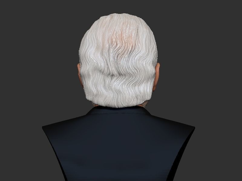 Narendra Modi Bust Gray 3D print model_9