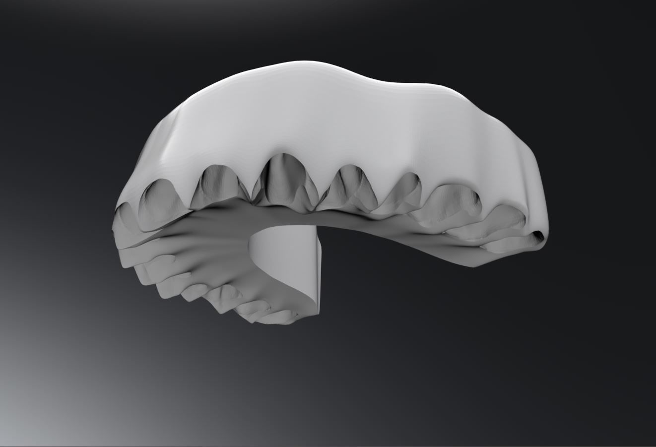 Permanent Teeth with Jaw 3D print model_8