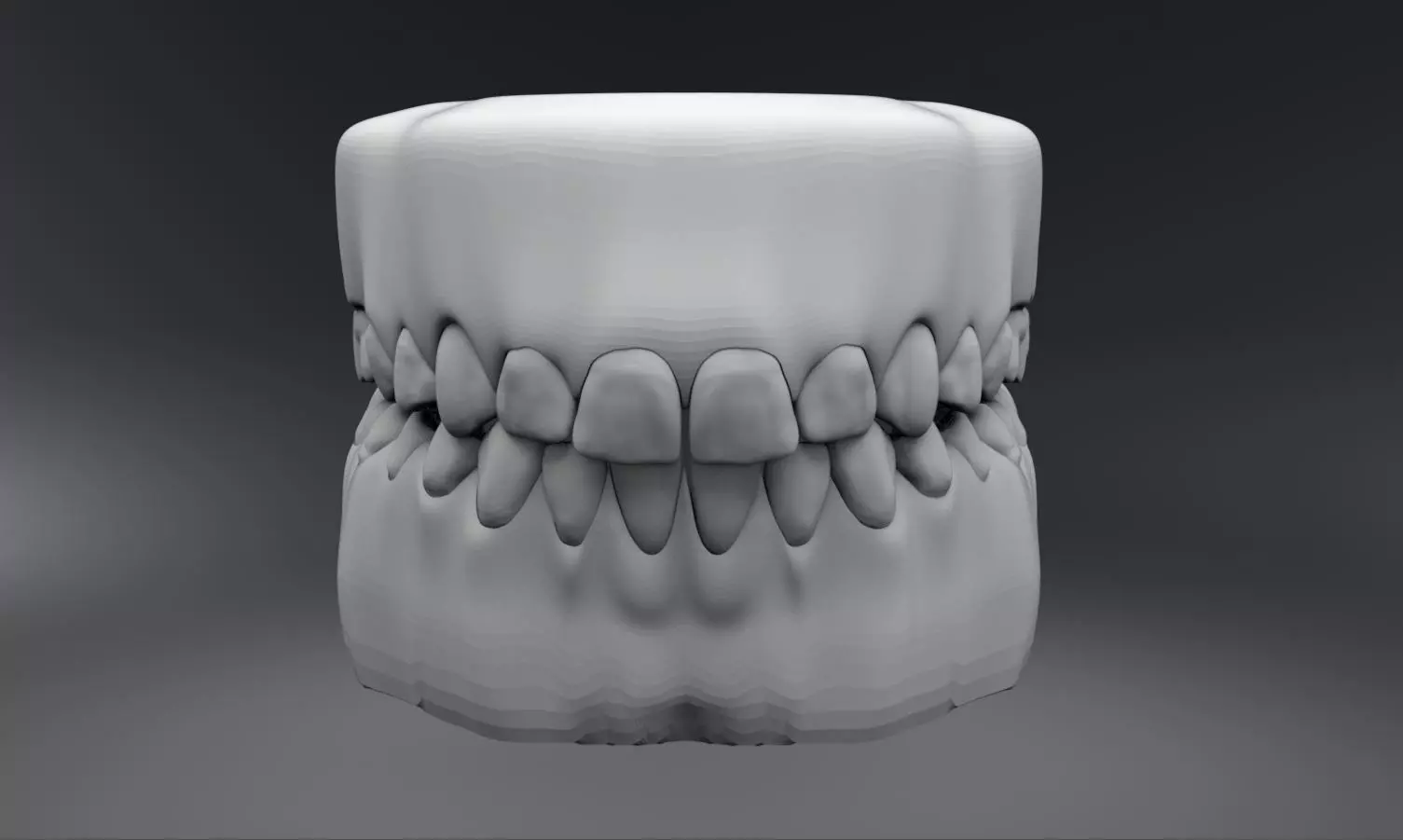 Permanent Teeth with Jaw 3D print model_0