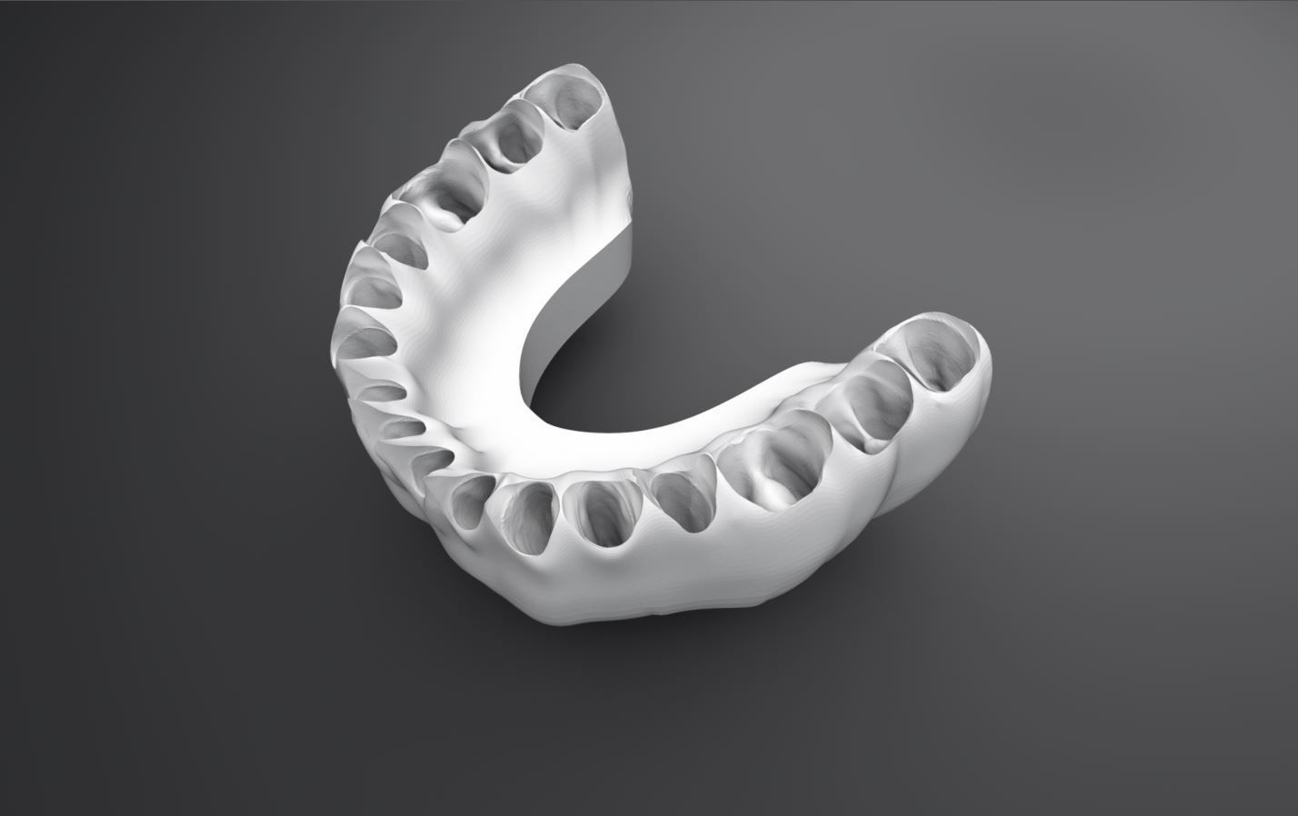 Permanent Teeth with Jaw 3D print model_7