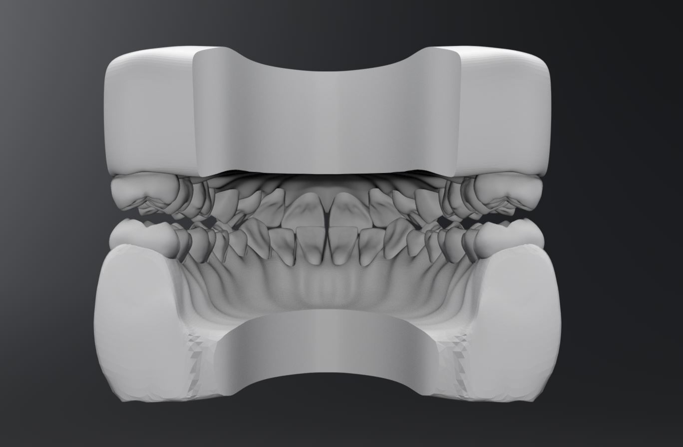 Permanent Teeth with Jaw 3D print model_5