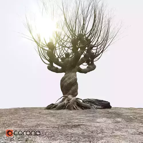 Willow tree corona 3D model