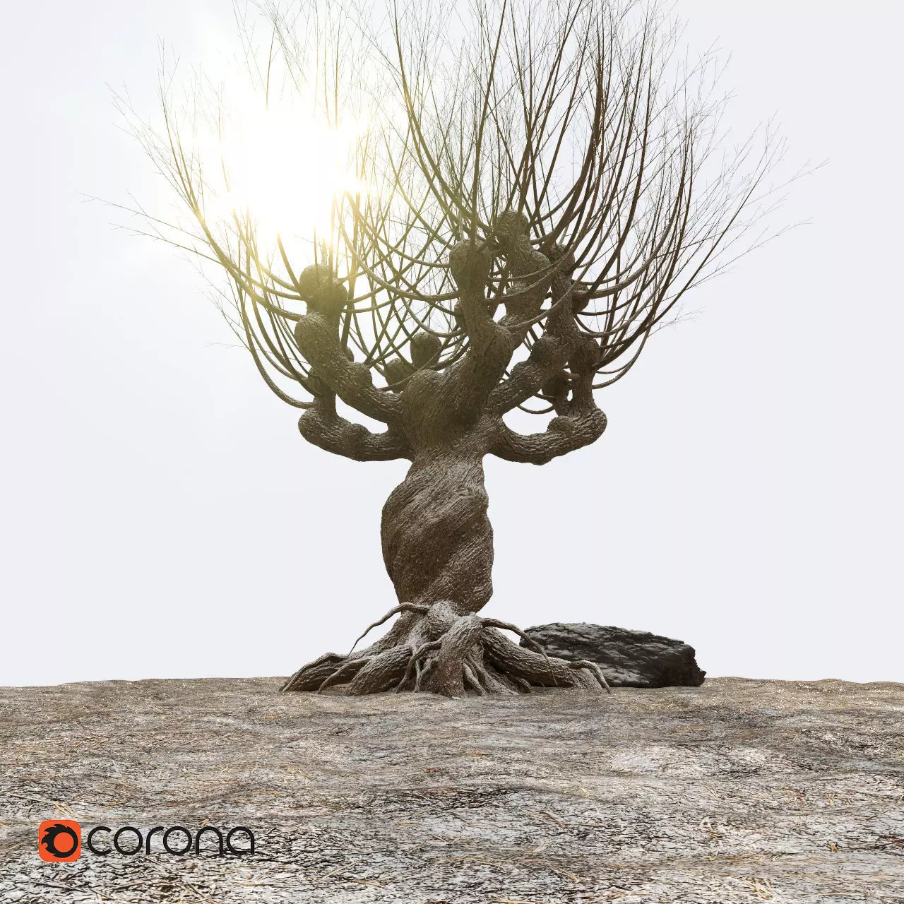Willow tree corona 3D model_0