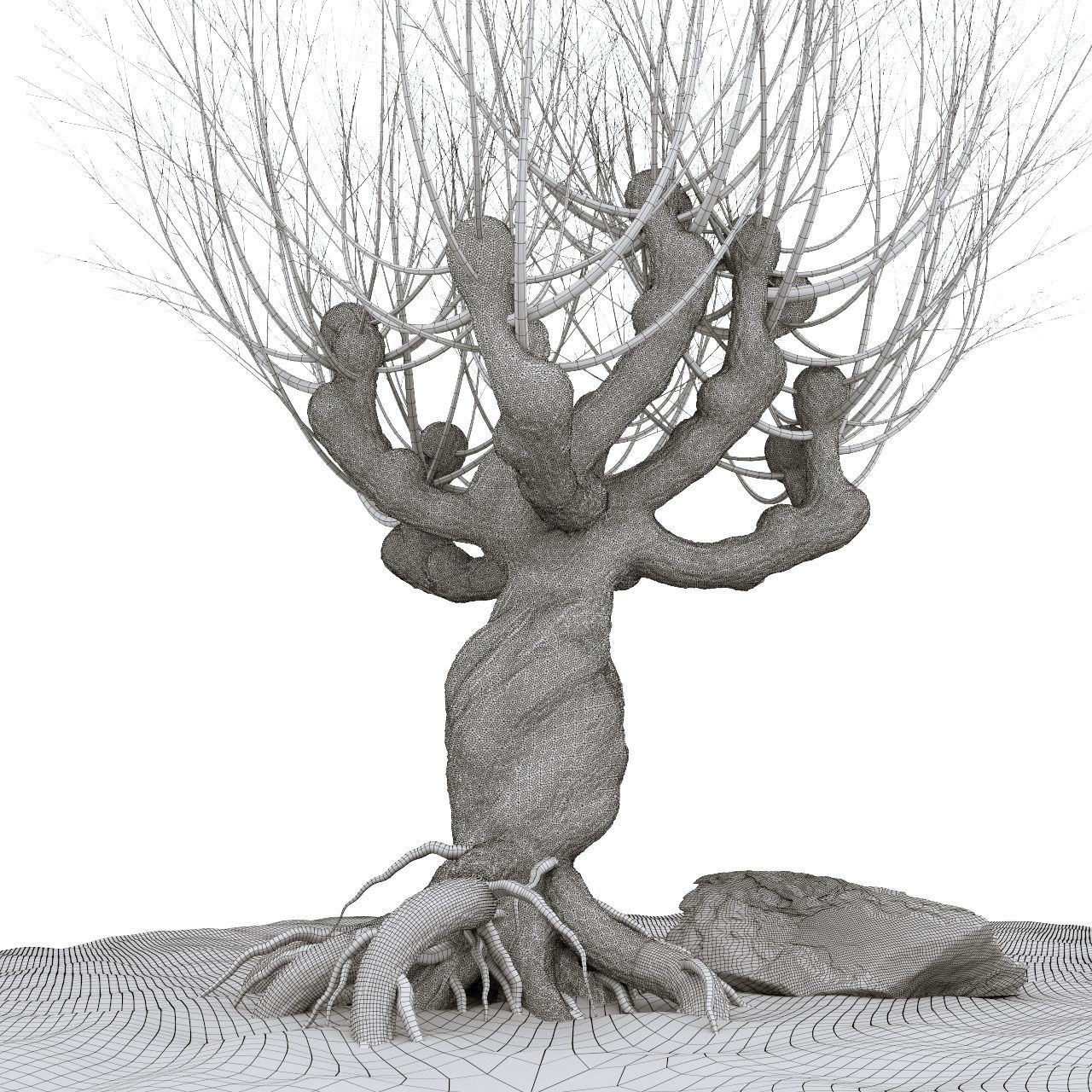 Willow tree corona 3D model_5