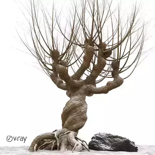 Willow tree  vray 3D model