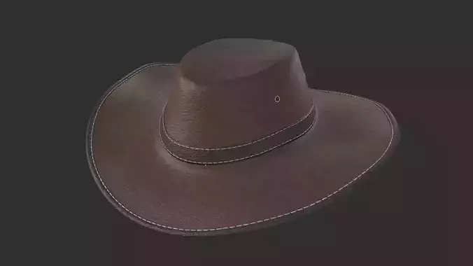 Cowboy hat
