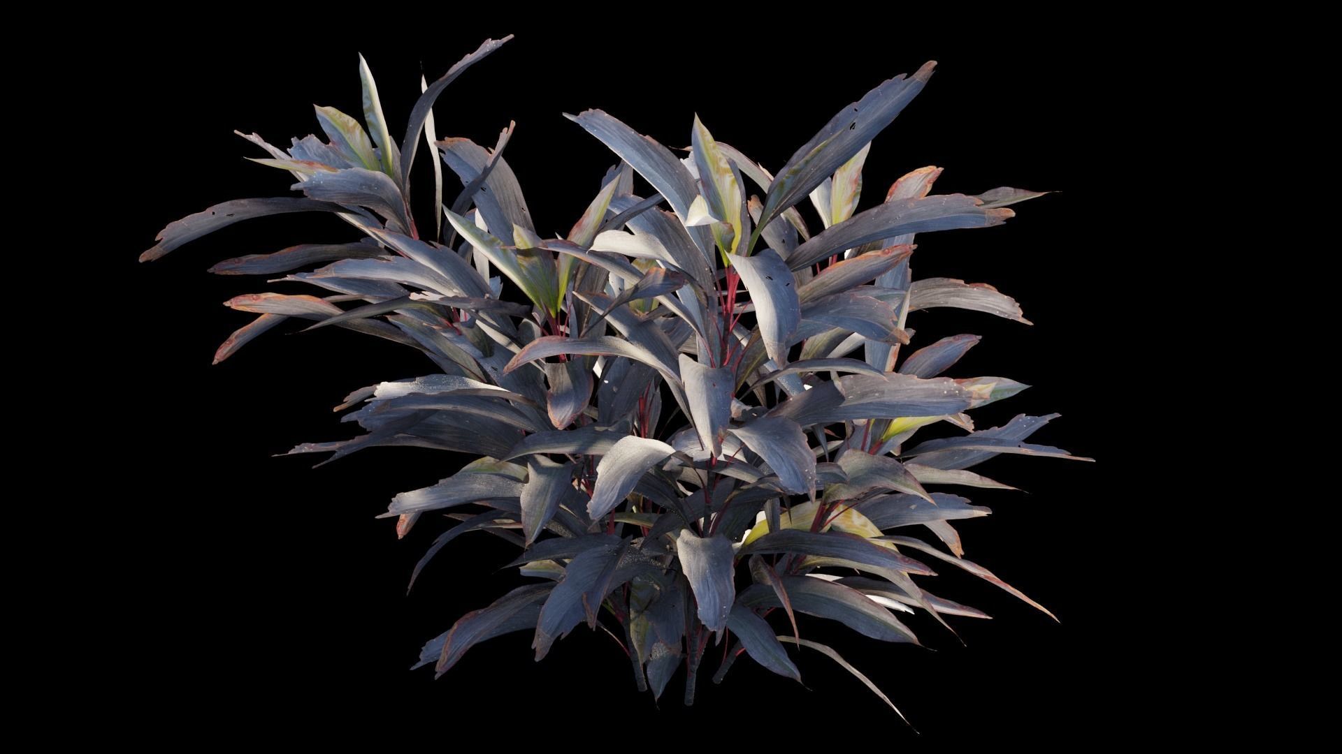 Cordyline Fruticosa plant set 03 Low-poly 3D model_8