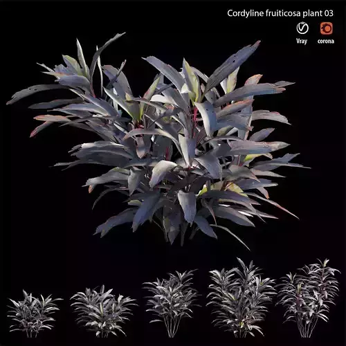 Cordyline Fruticosa plant set 03 Low-poly 3D model