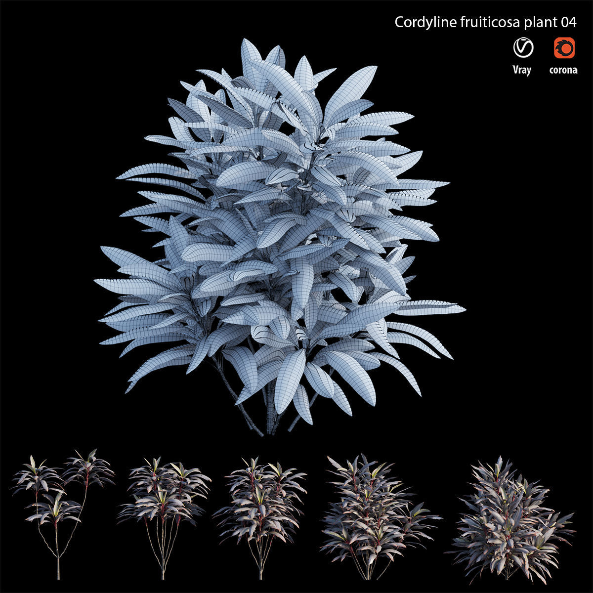 Cordyline fruticosa plant set 04 Low-poly 3D model_6