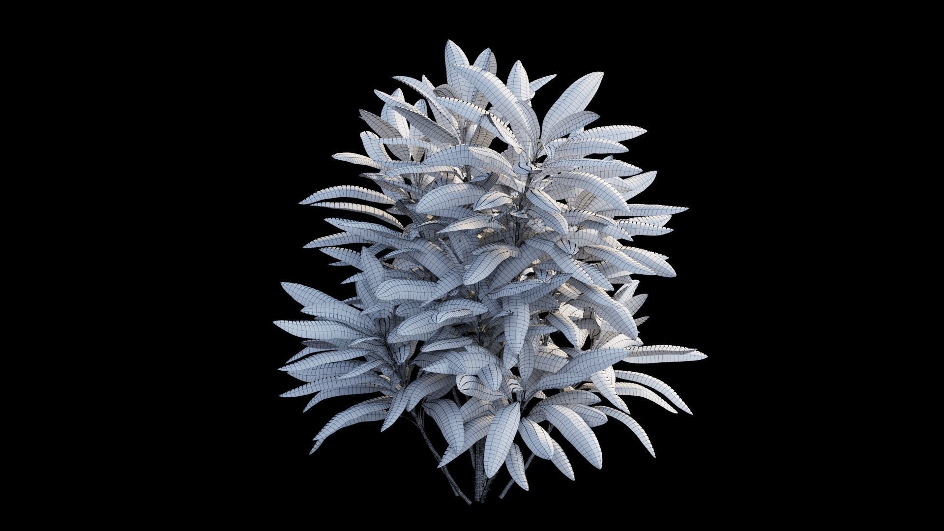 Cordyline fruticosa plant set 04 Low-poly 3D model_14