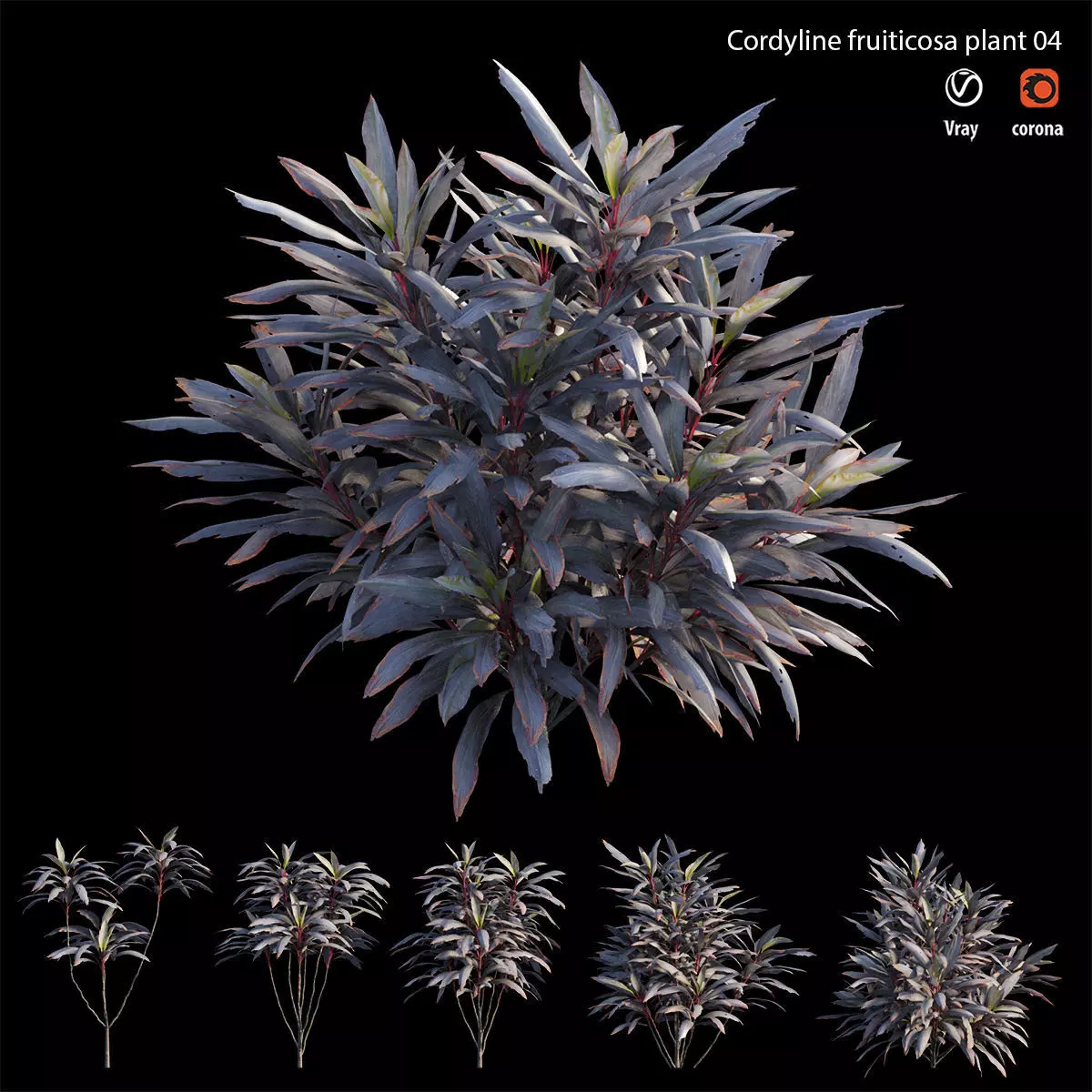 Cordyline fruticosa plant set 04 Low-poly 3D model_0