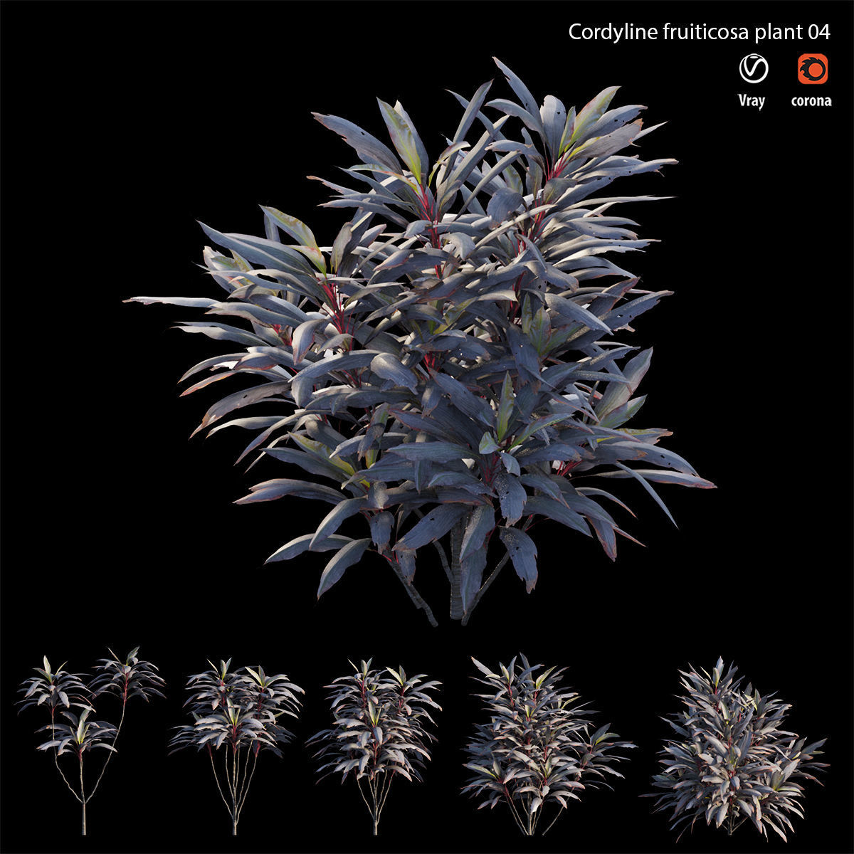 Cordyline fruticosa plant set 04 Low-poly 3D model_2