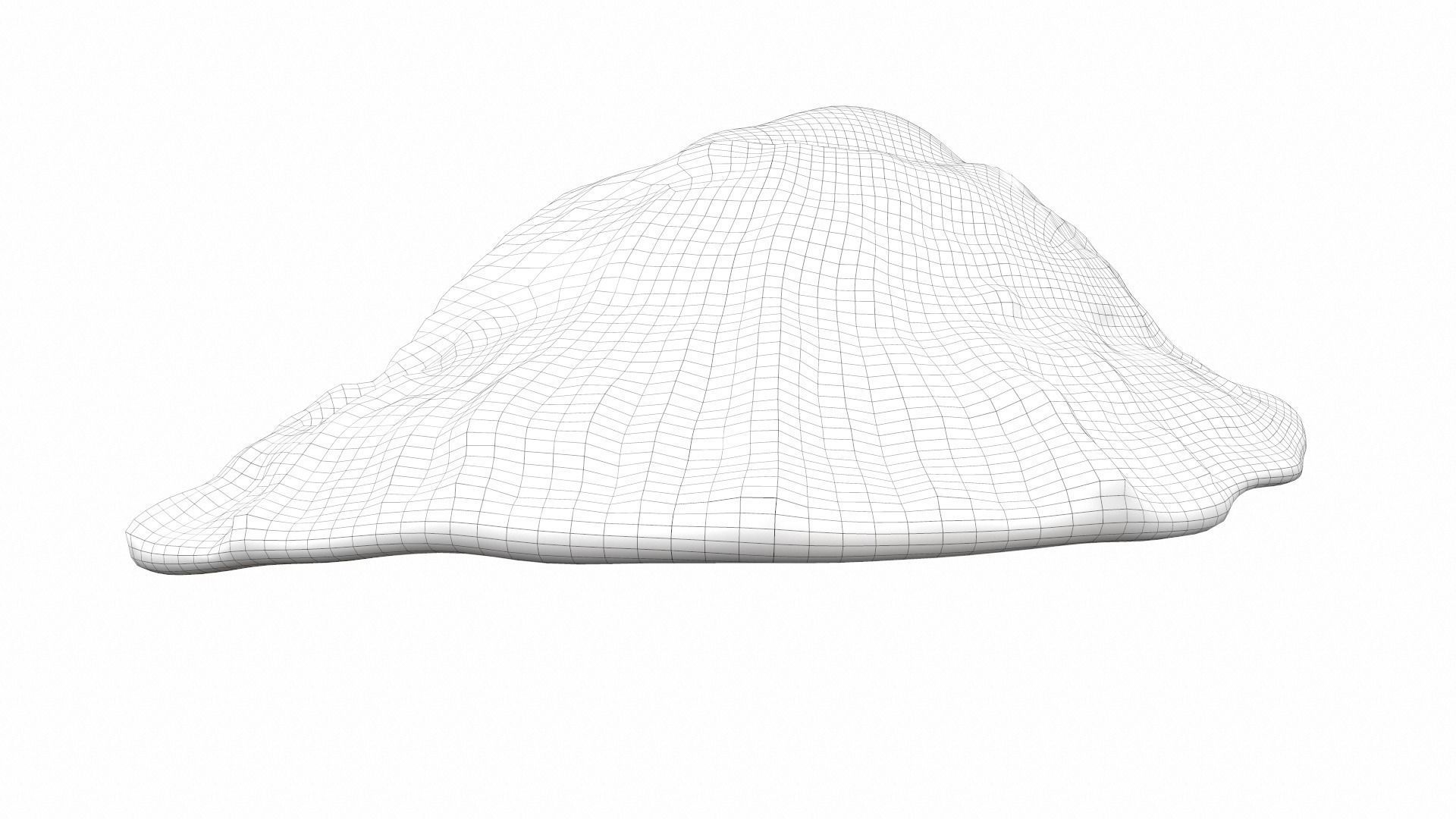 Sea shell scallop 4 3D model_10