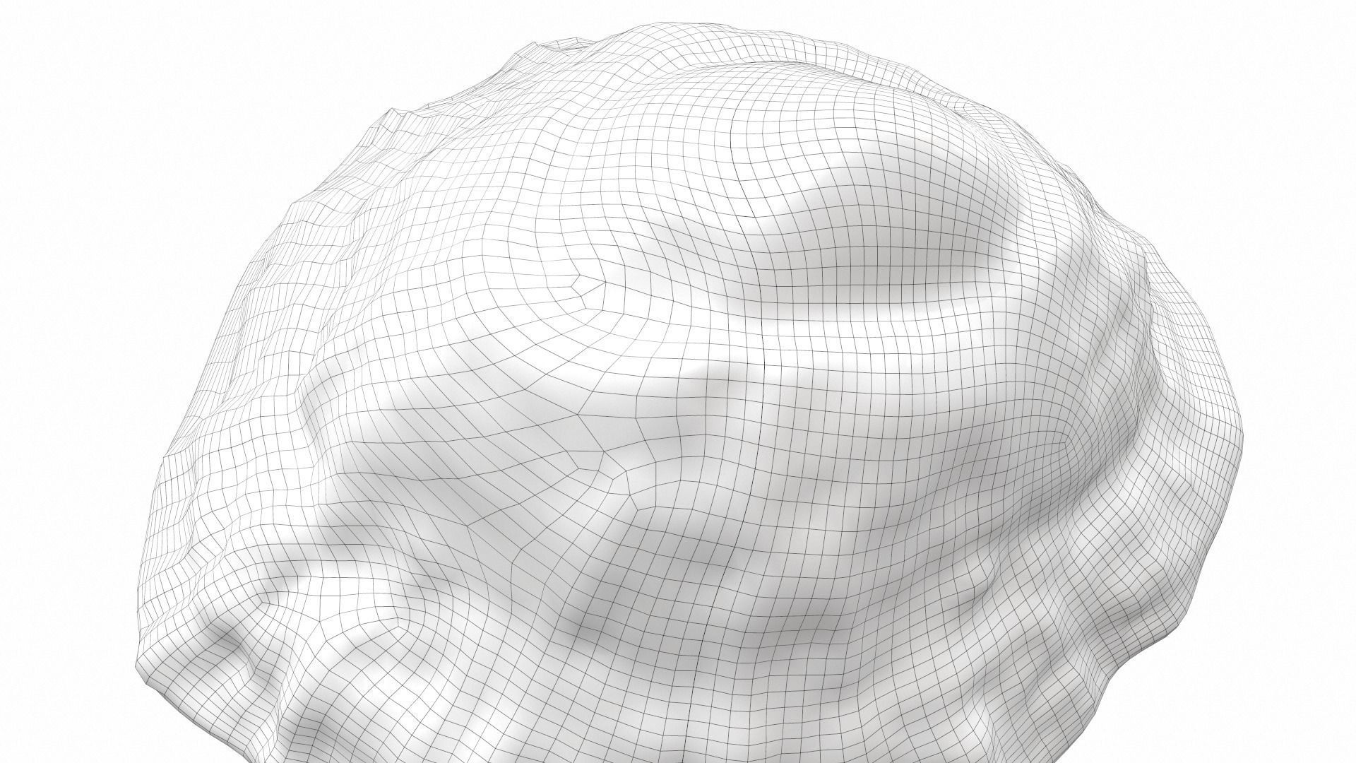 Sea shell scallop 4 3D model_11