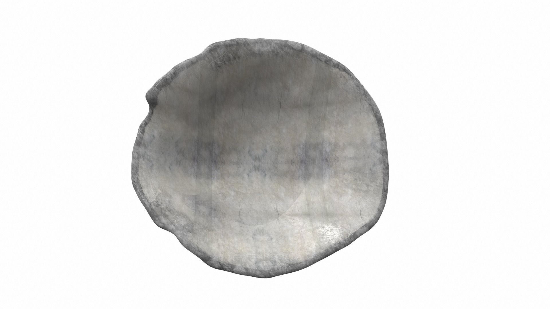 Sea shell scallop 4 3D model_2