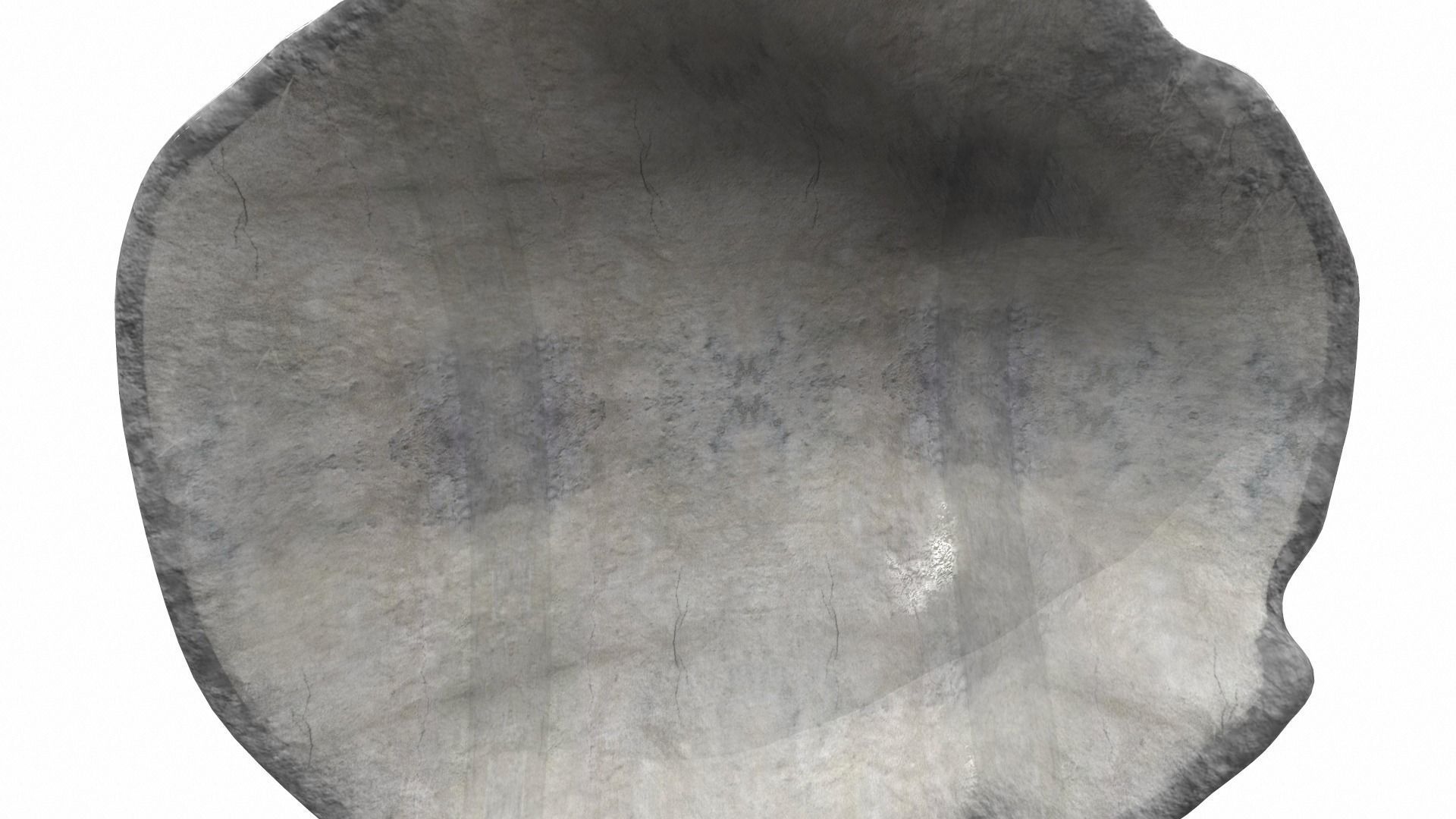 Sea shell scallop 4 3D model_6