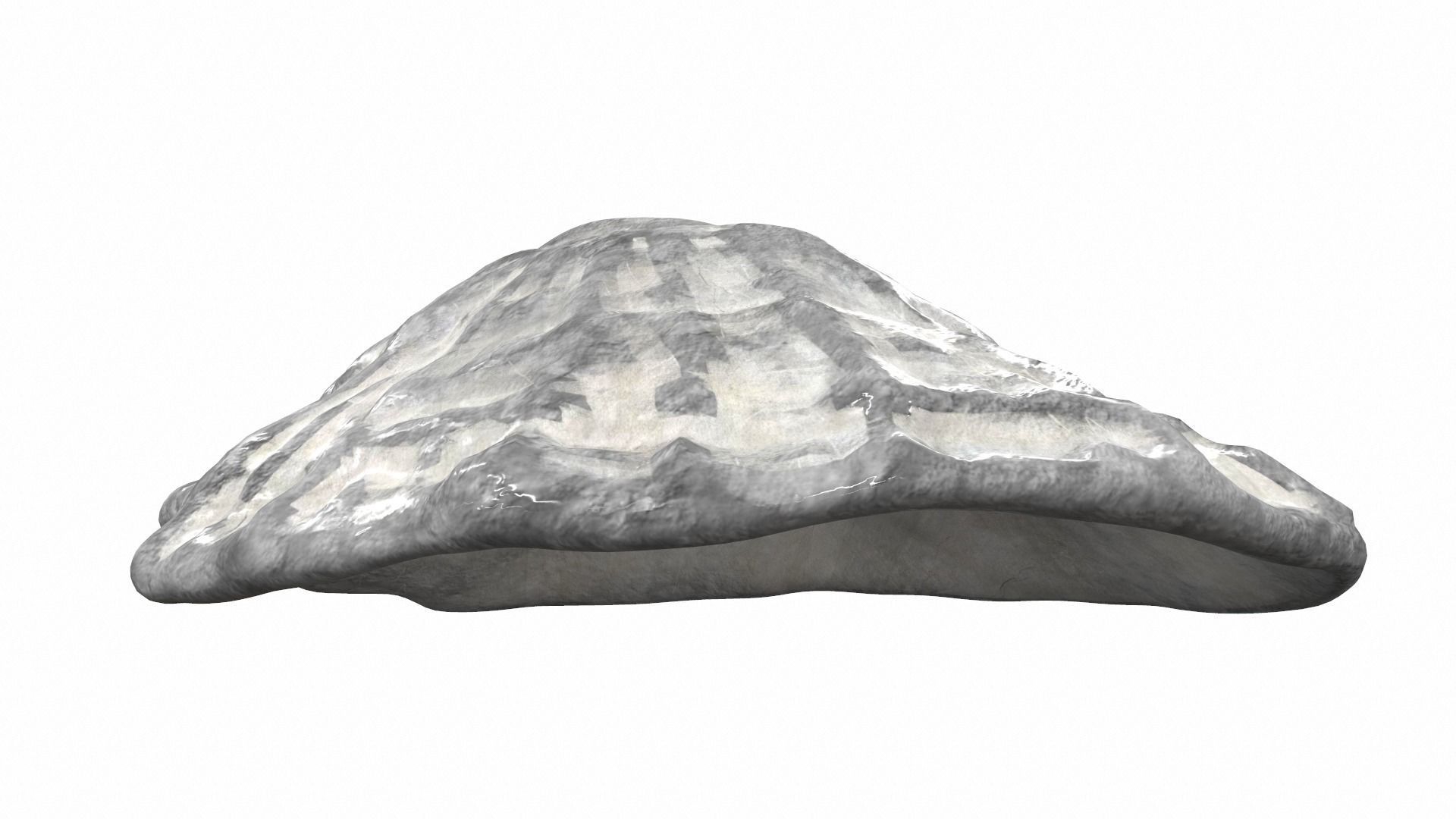 Sea shell scallop 4 3D model_3