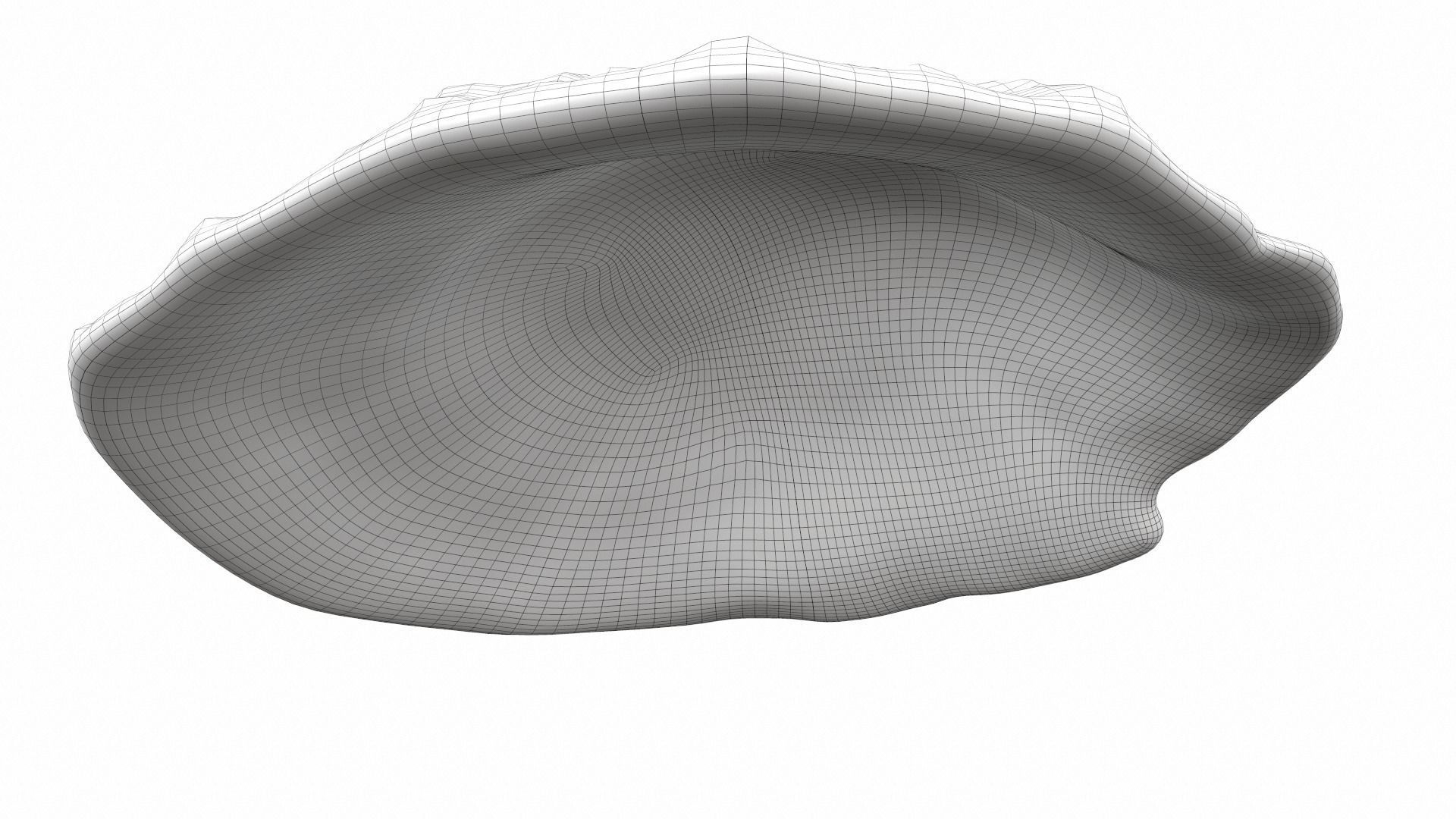 Sea shell scallop 4 3D model_12