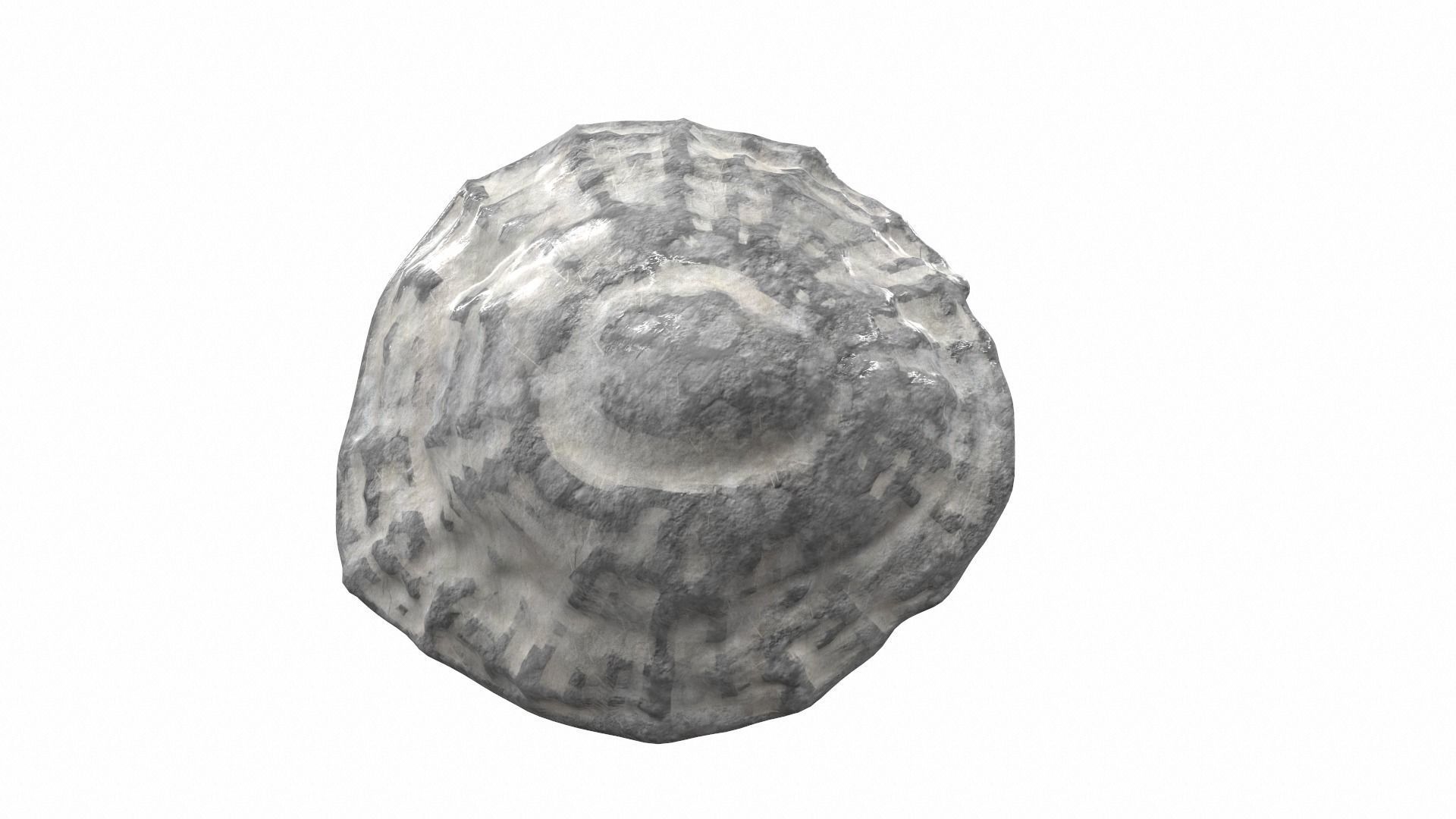 Sea shell scallop 4 3D model_1