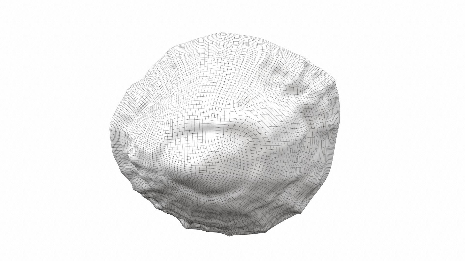 Sea shell scallop 4 3D model_8