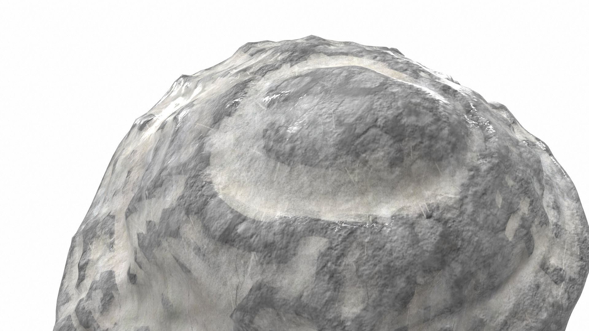 Sea shell scallop 4 3D model_5