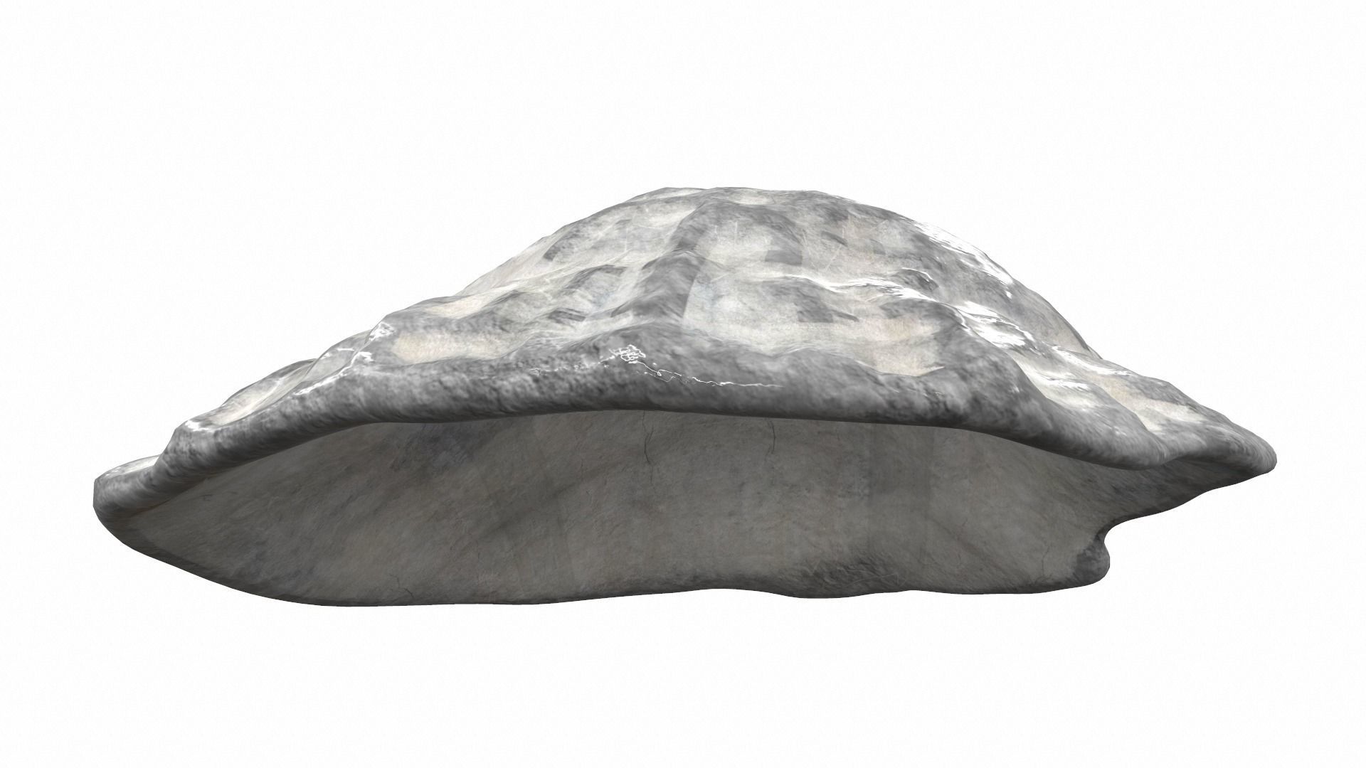 Sea shell scallop 4 3D model_4
