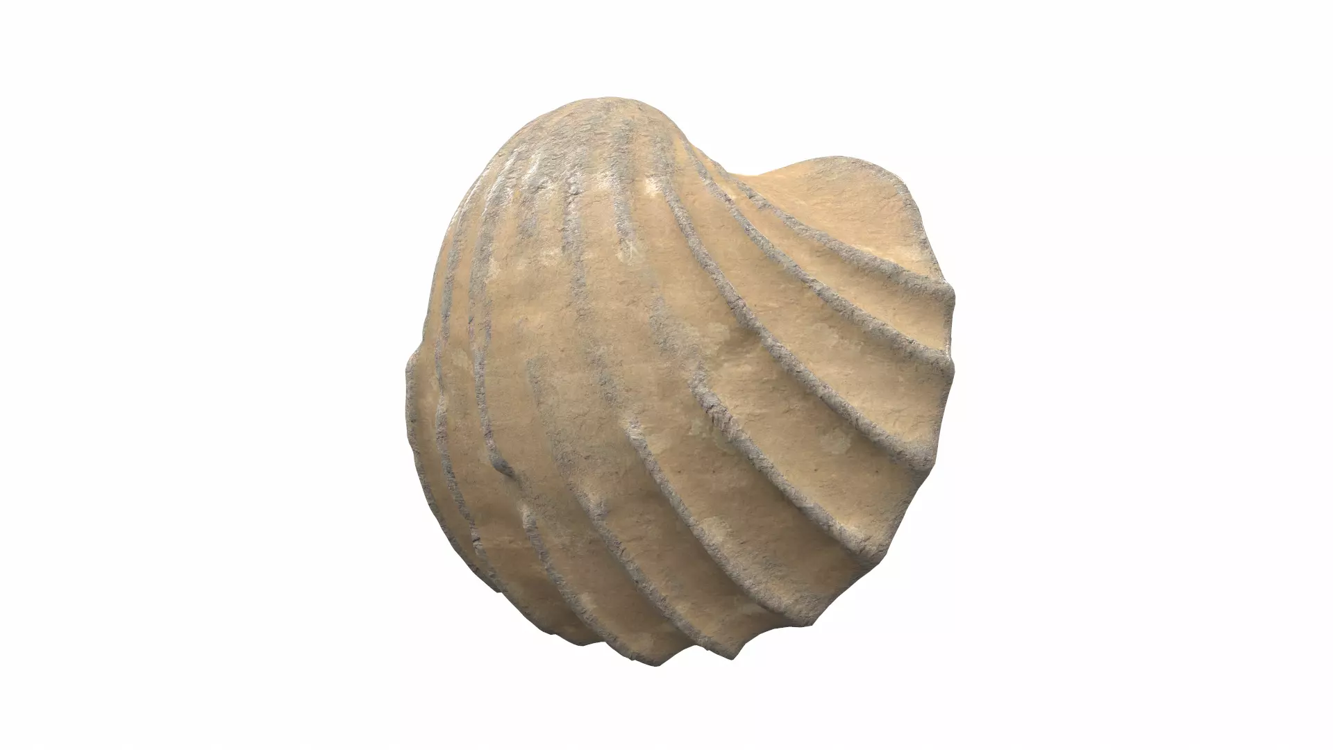 Sea shell scallop 9 3D model