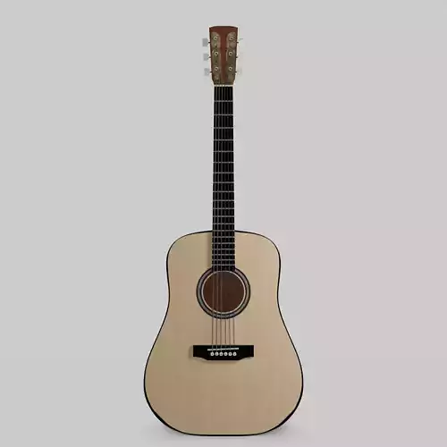Acoustic Guitar