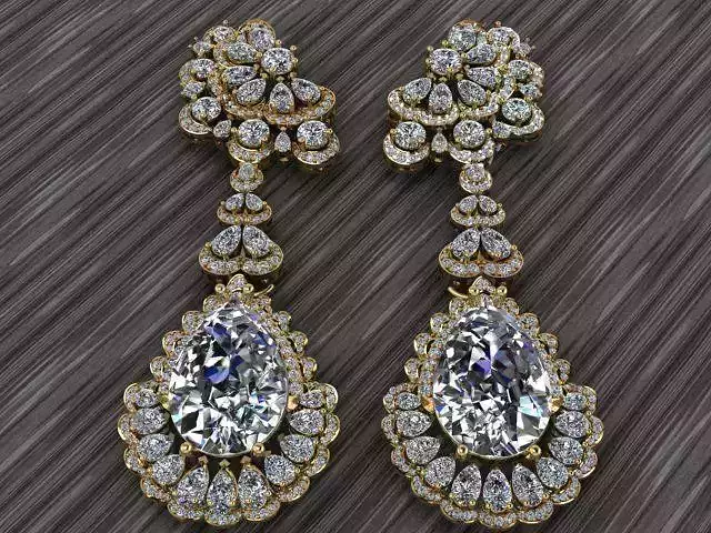 Jewelry earrings
