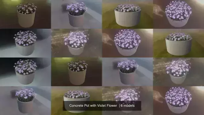 Concrete Pot with Violet Flower  3D Model Collection
