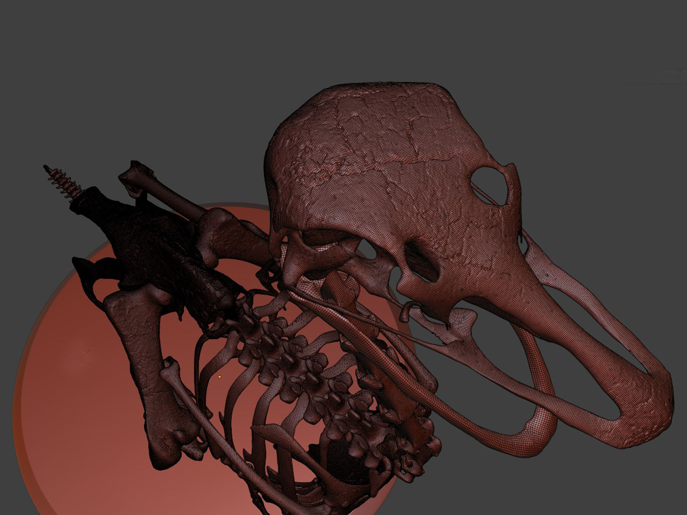 Silver Ostrich Skeleton for Visual Art 3D model_8