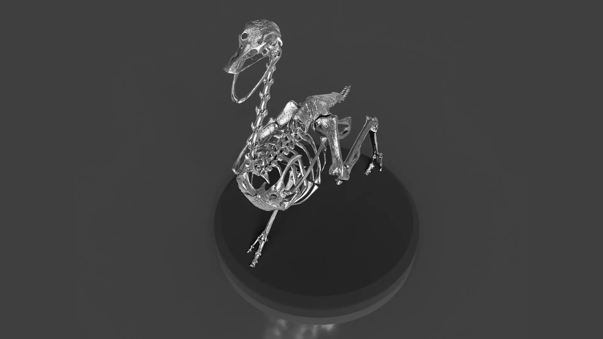 Silver Ostrich Skeleton for Visual Art 3D model_0