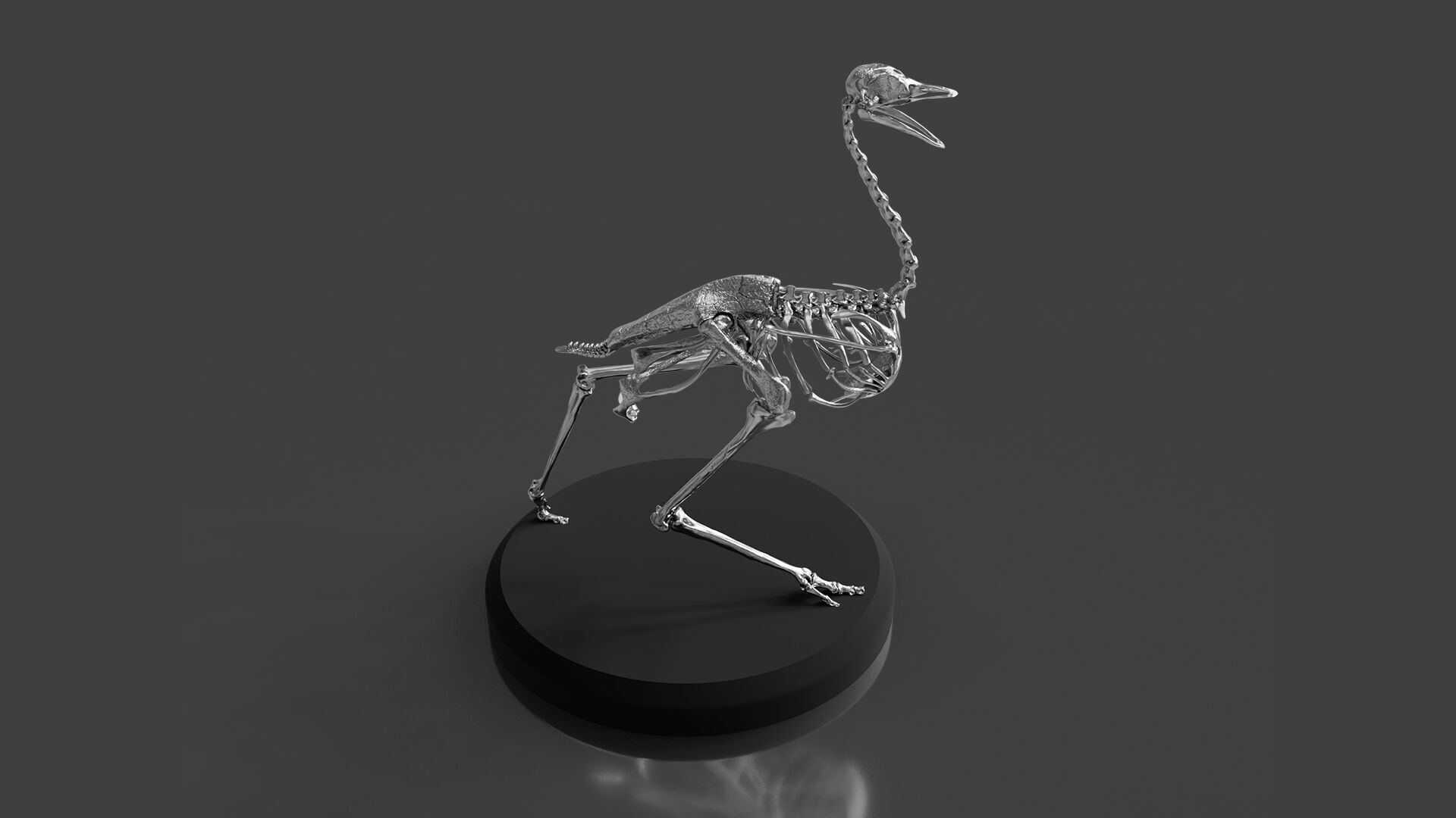 Silver Ostrich Skeleton for Visual Art 3D model_1