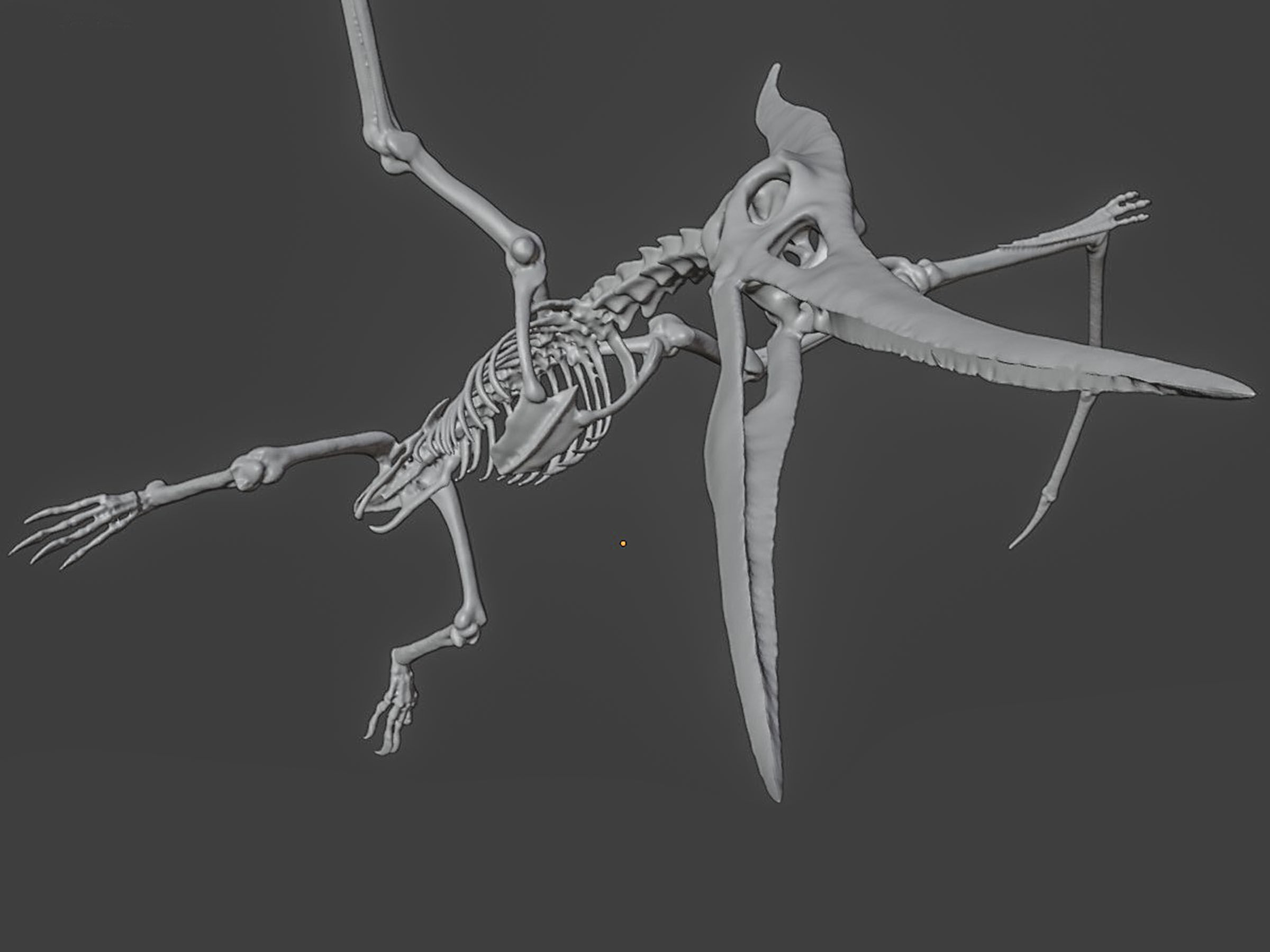 Realistic Pteranodon Skeleton 3D model_7
