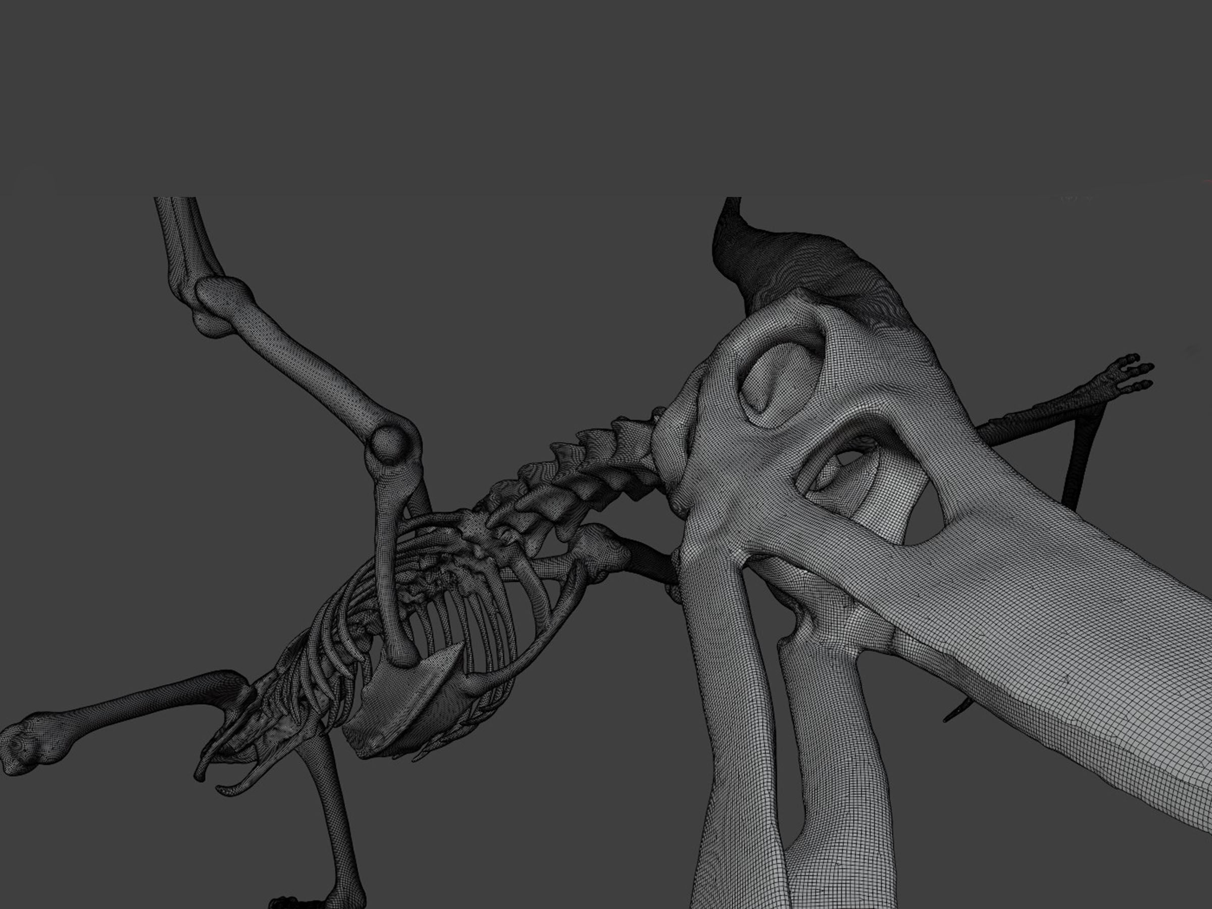 Realistic Pteranodon Skeleton 3D model_8