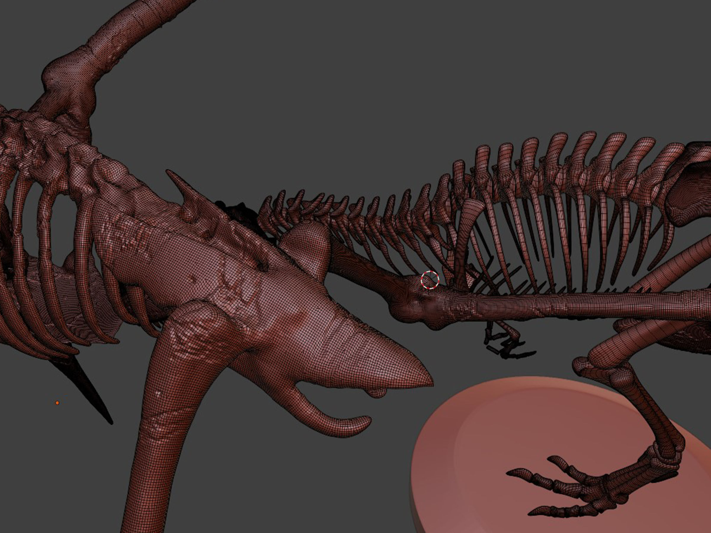Tyrannosaurus VS Pteranodon Skeleton 3D model_10