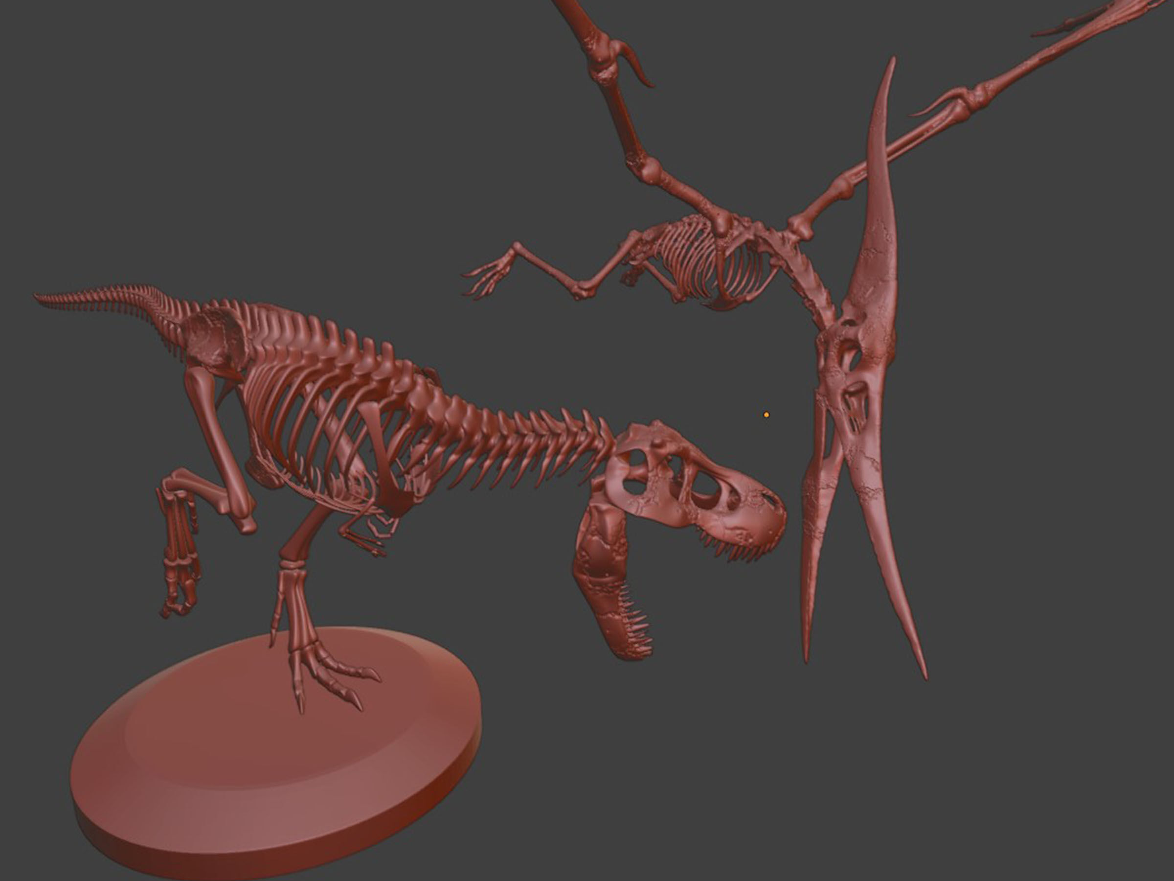 Tyrannosaurus VS Pteranodon Skeleton 3D model_7