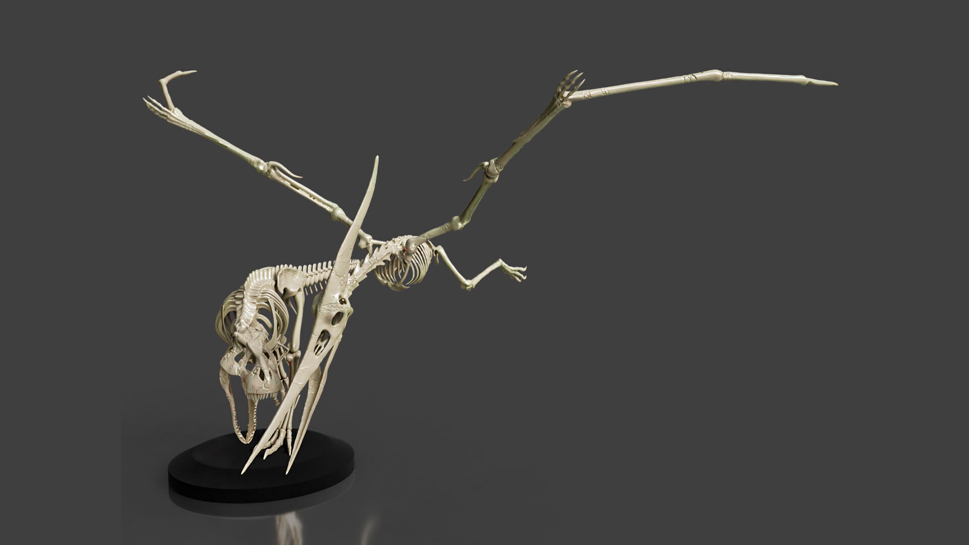 Tyrannosaurus VS Pteranodon Skeleton 3D model_1