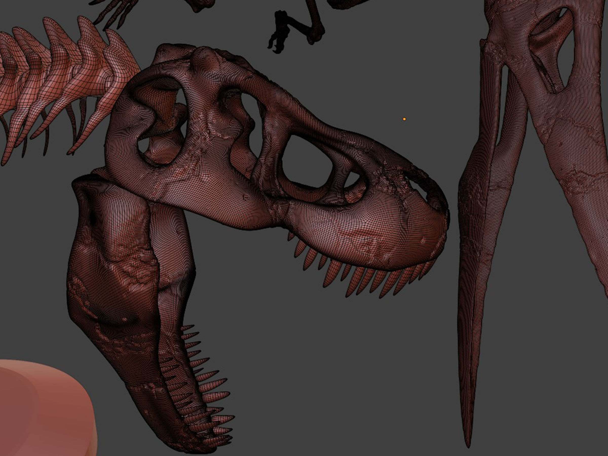 Tyrannosaurus VS Pteranodon Skeleton 3D model_8