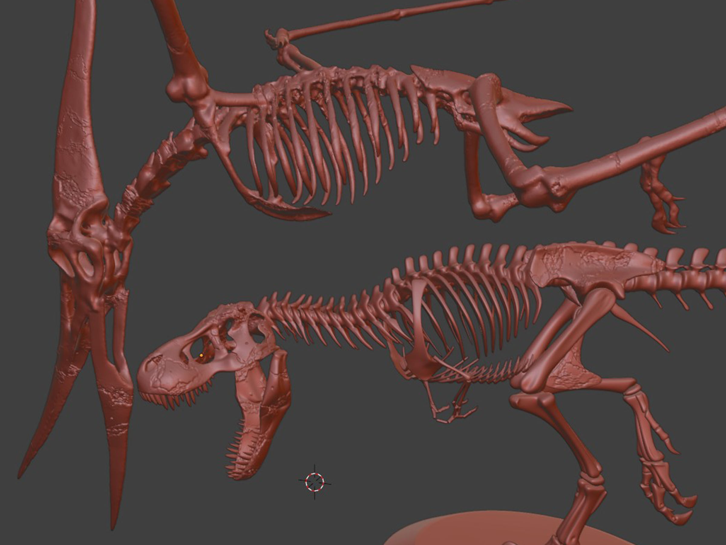 Tyrannosaurus VS Pteranodon Skeleton 3D model_9