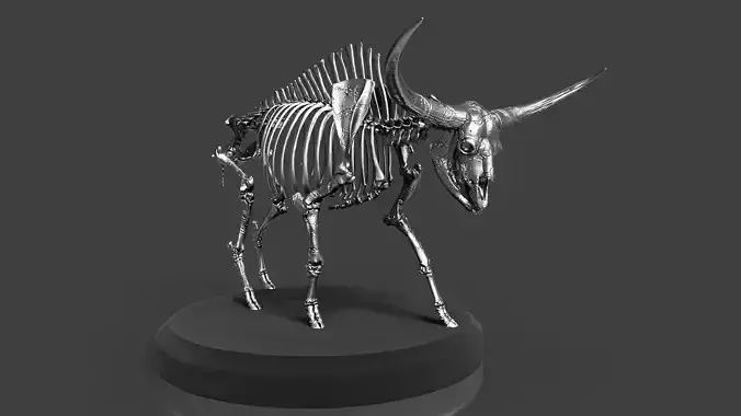 Silver Bison Latifrons Skeleton