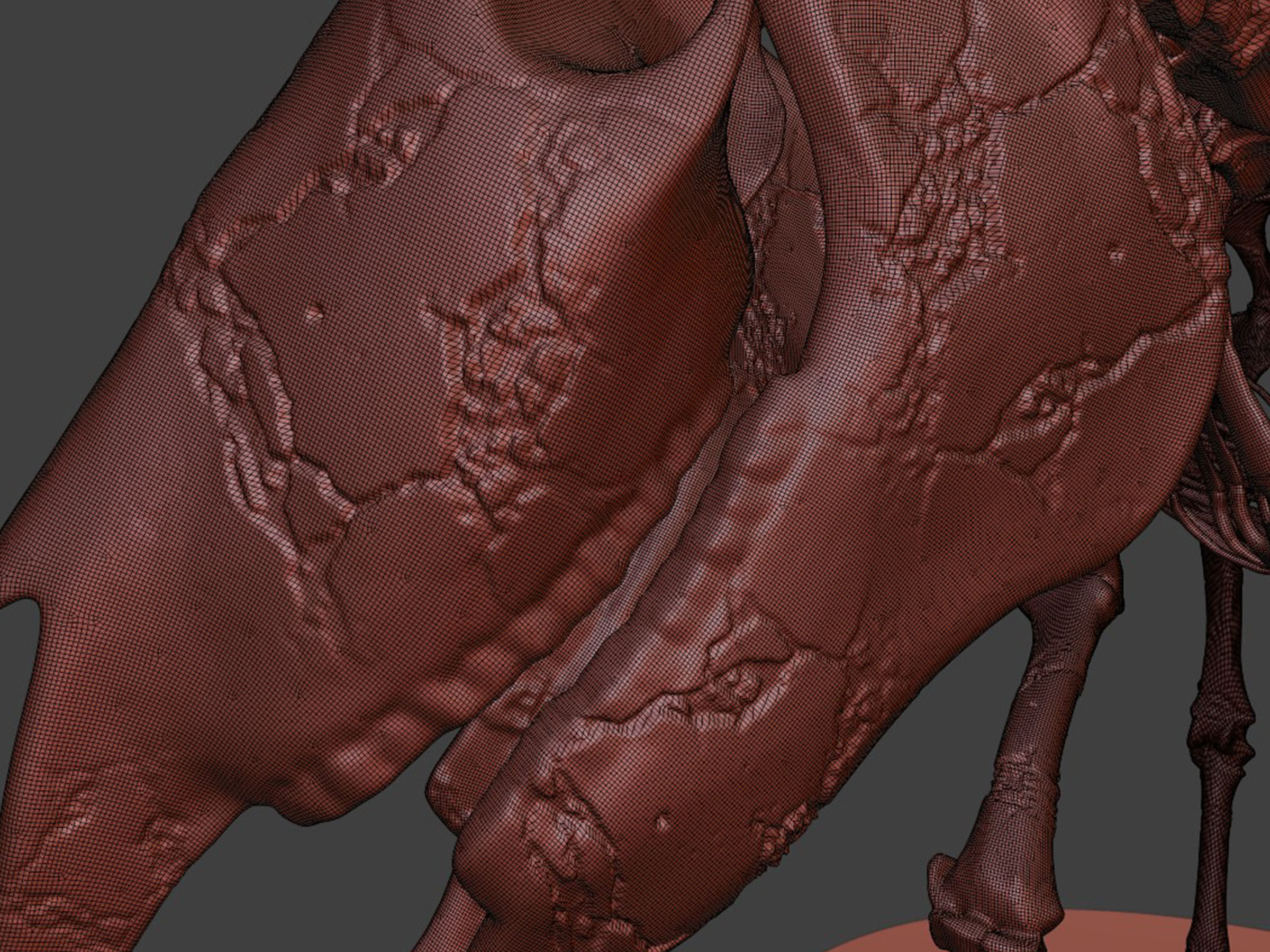 Realistic Horse Skeleton 3D model_8