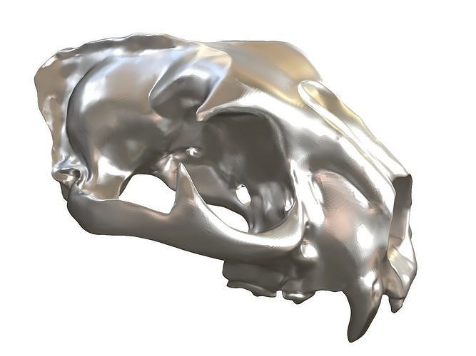 Cranium Leopard Charm Low-poly 3D print model