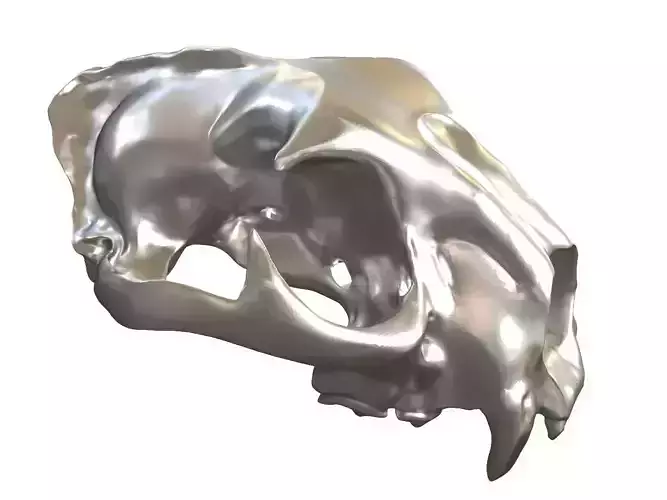 Cranium Leopard Charm