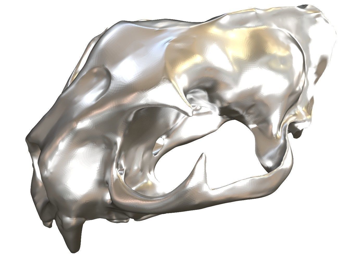 Cranium Lion Charm 3D print model_10