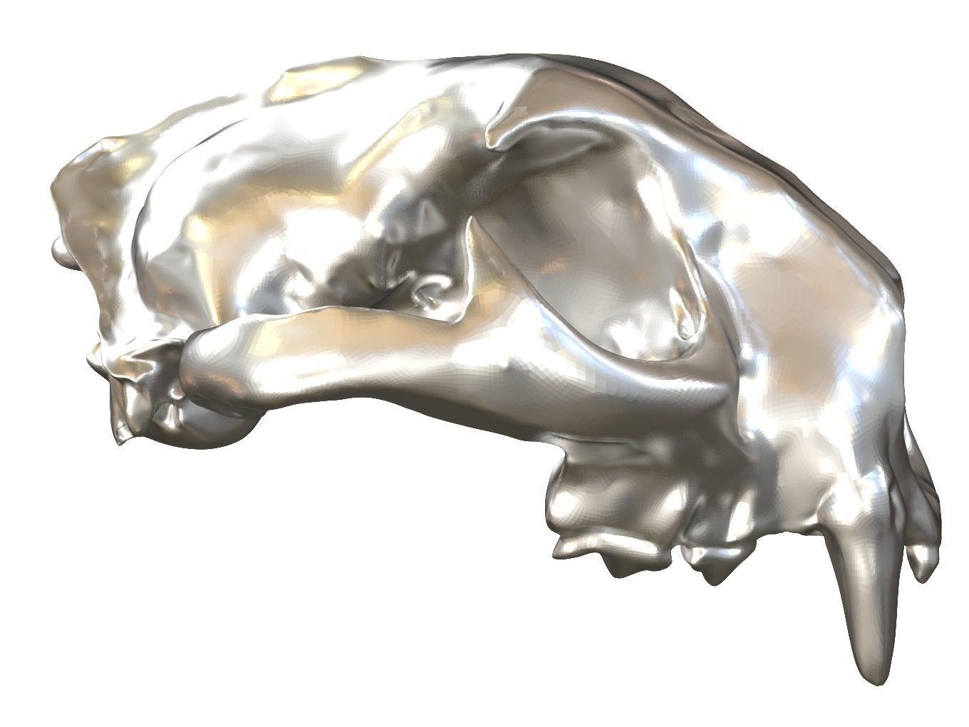 Cranium Lion Charm 3D print model_8