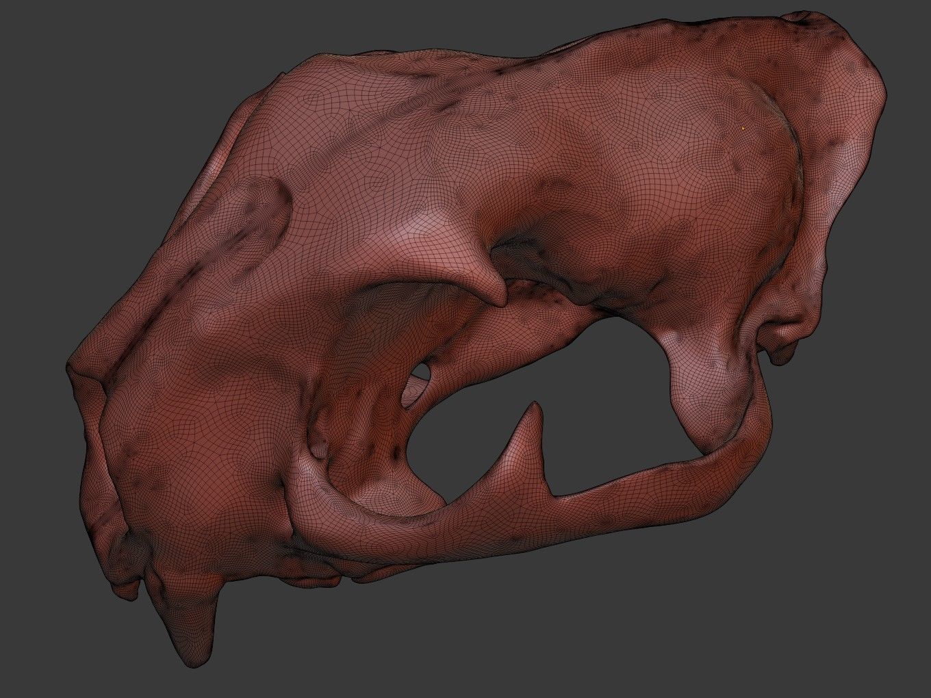 Cranium Lion Charm 3D print model_13