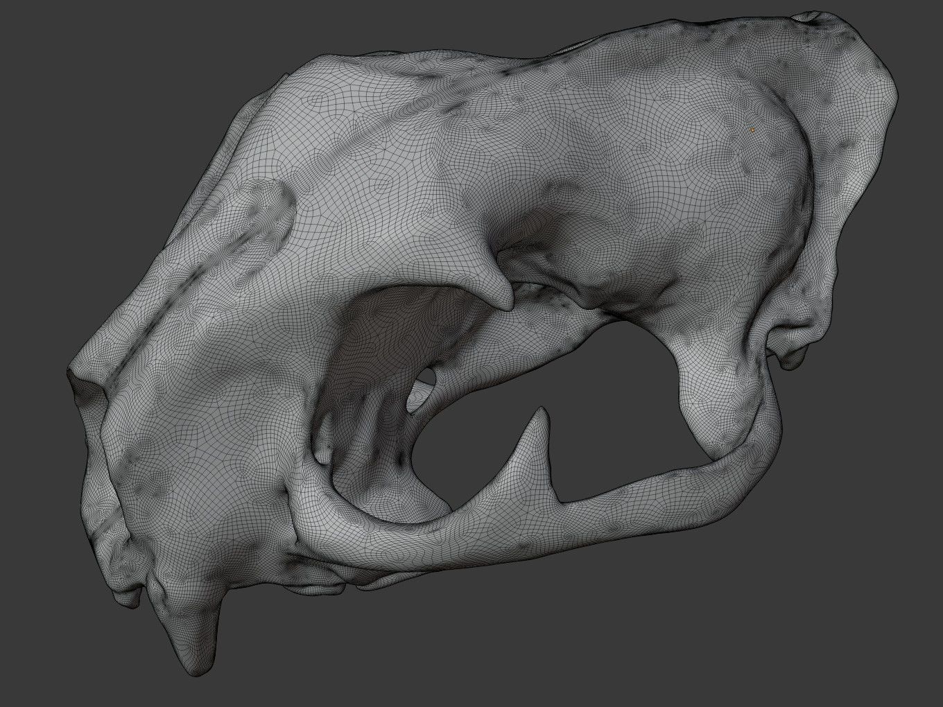 Cranium Lion Charm 3D print model_12