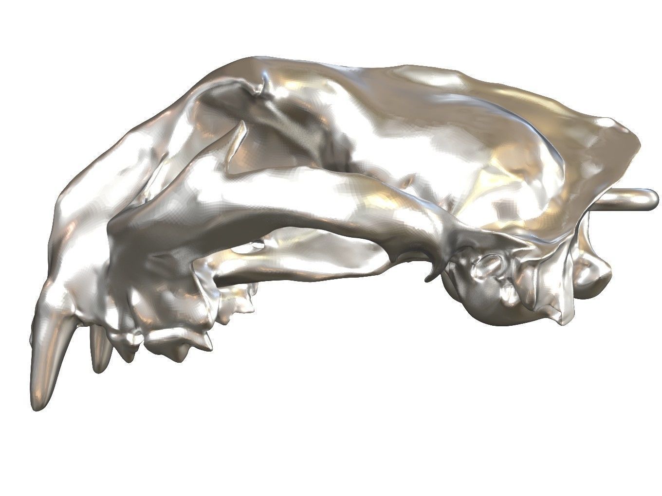 Cranium Lion Charm 3D print model_3